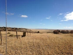 River Watch Beef – Colorado pasture