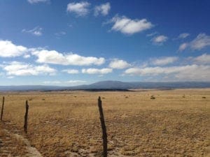 River Watch Beef – Colorado pasture fence